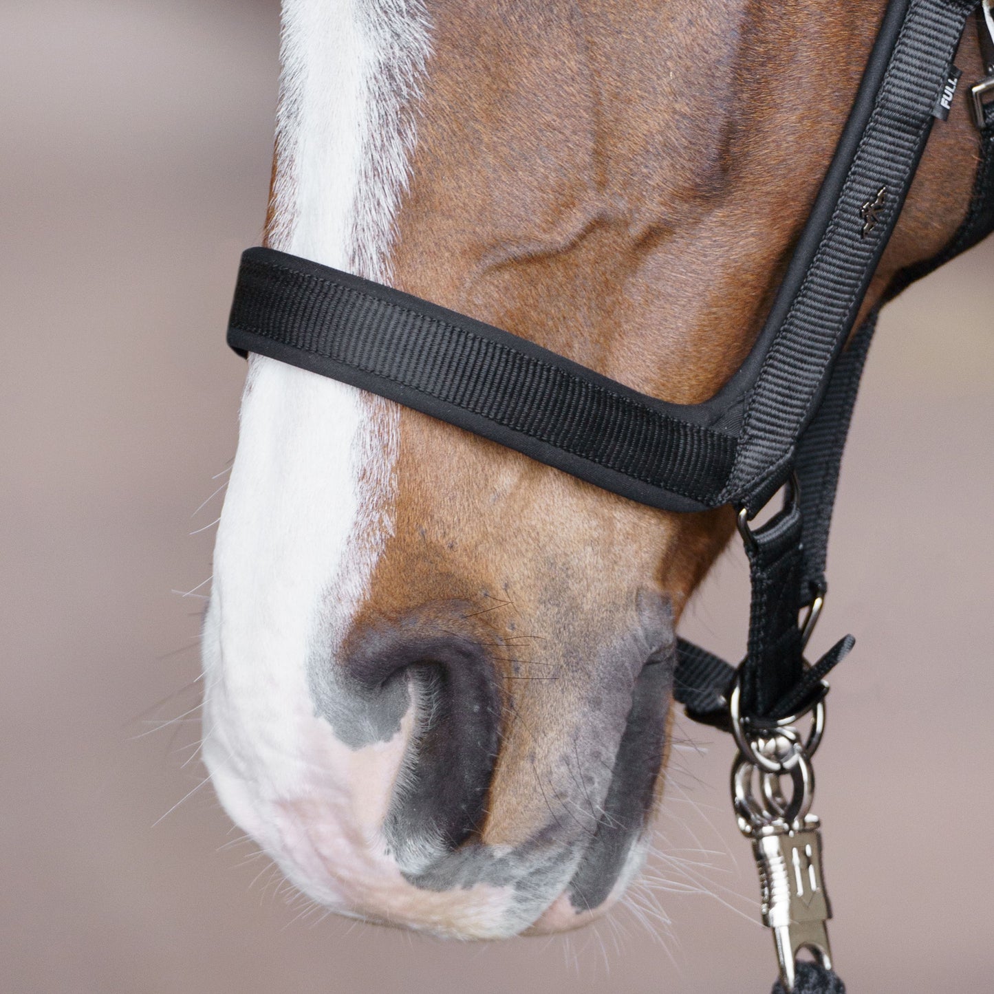 Hv-Polo Grimma Essential