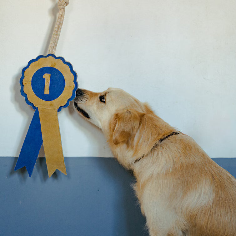 Hansbo Sport Hästleksaker