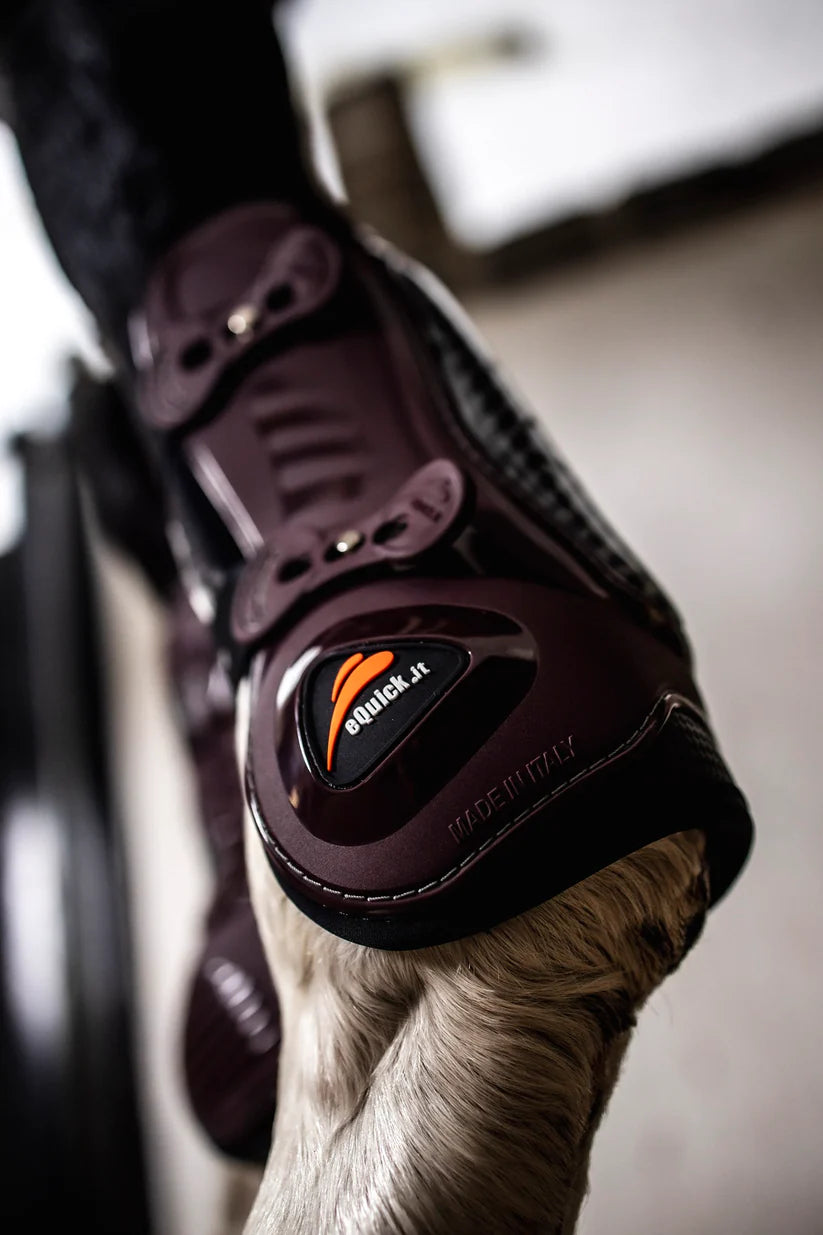 eQuick eCarbon Framskydd