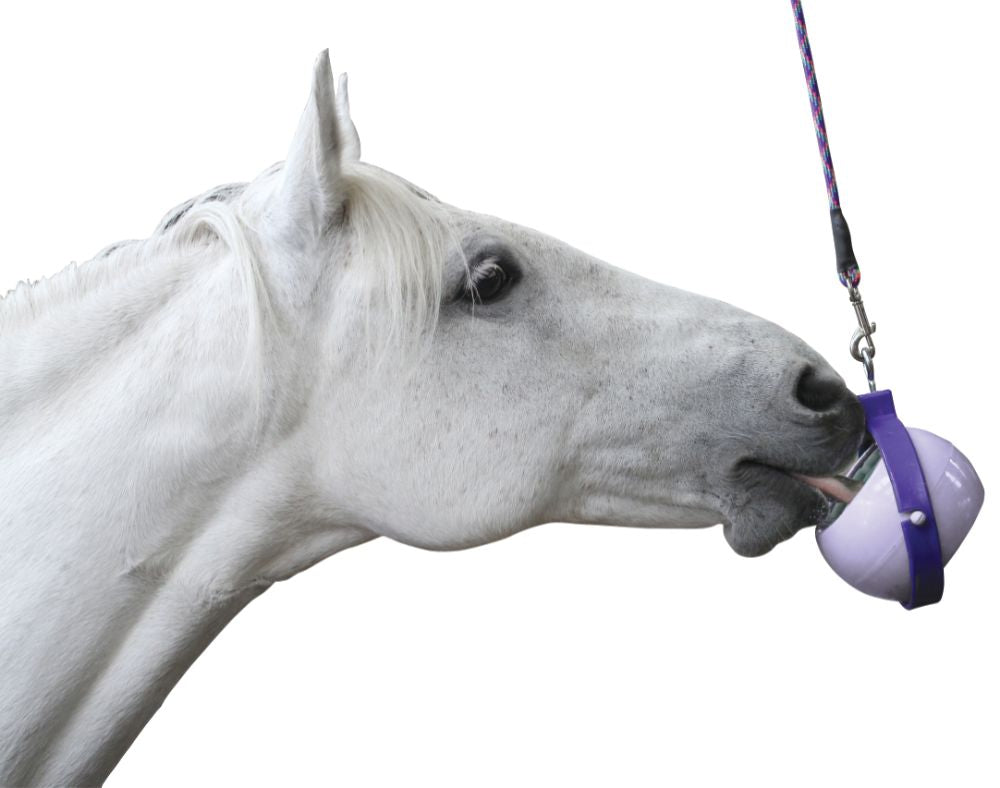 Likit Boredom Buster