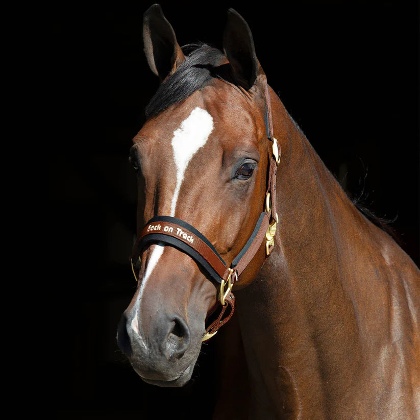 Back on Track Grimma Werano