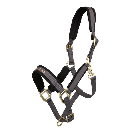 Back on Track Grimma Werano