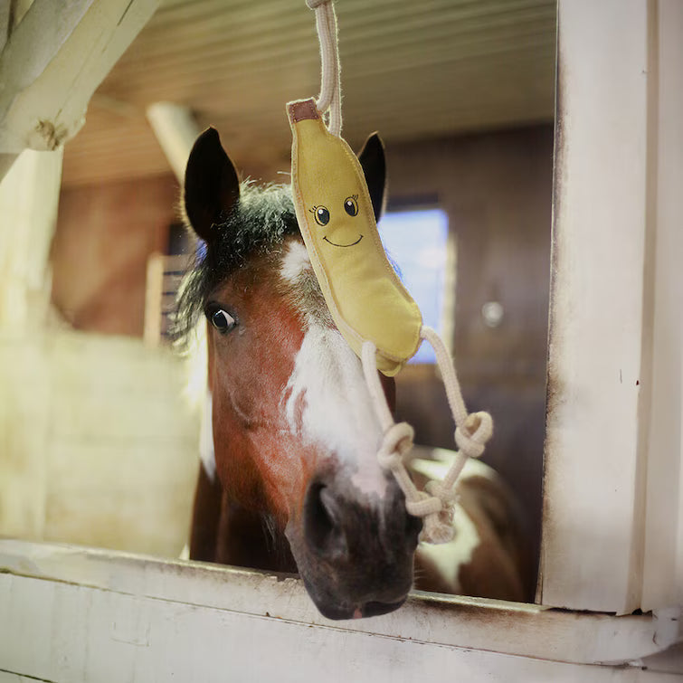 Hansbo Sport Hästleksaker