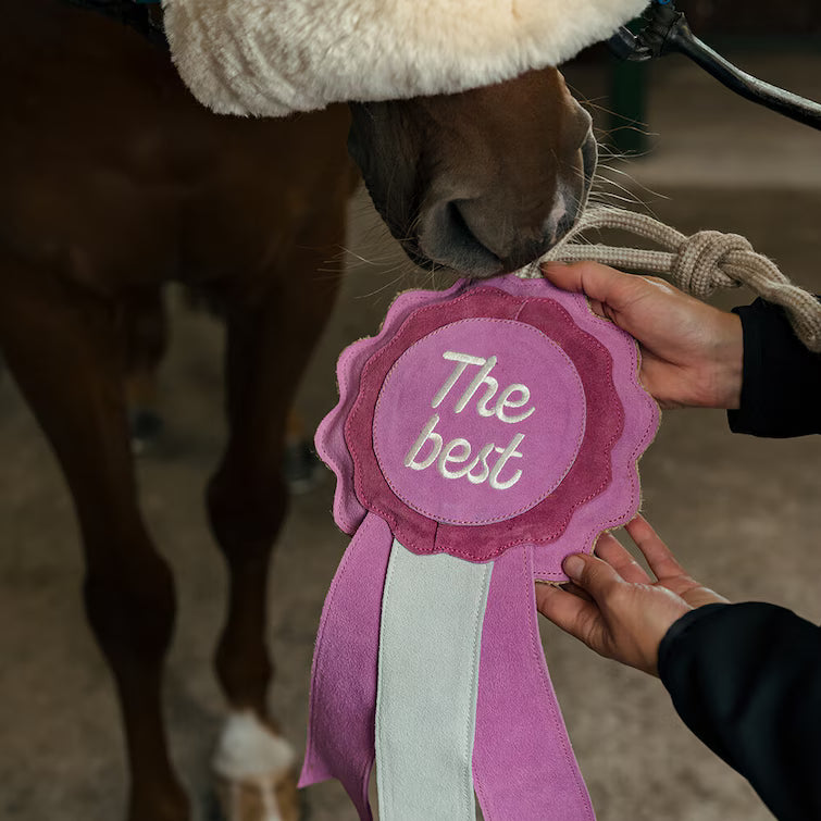 Hansbo Sport Hästleksaker