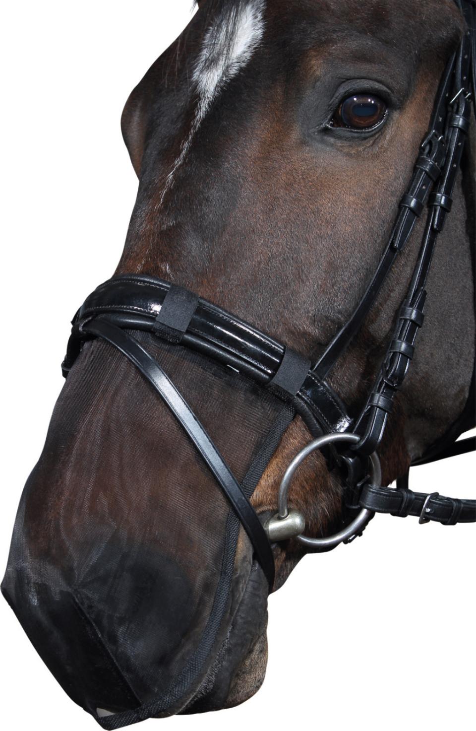 Horse Guard Mulnät