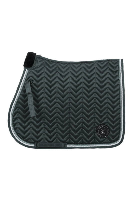 Cavallo Hoppschabrak Harlow