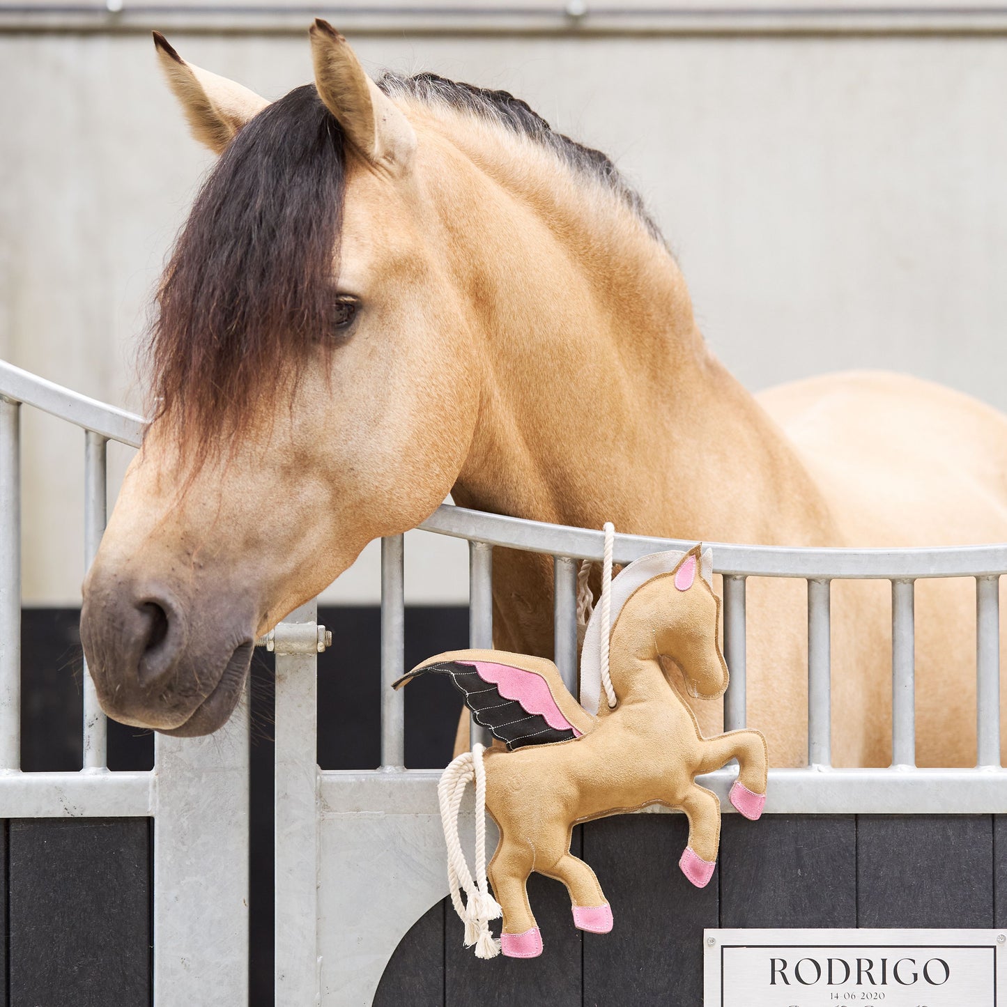 Imperial Riding Stable Buddy