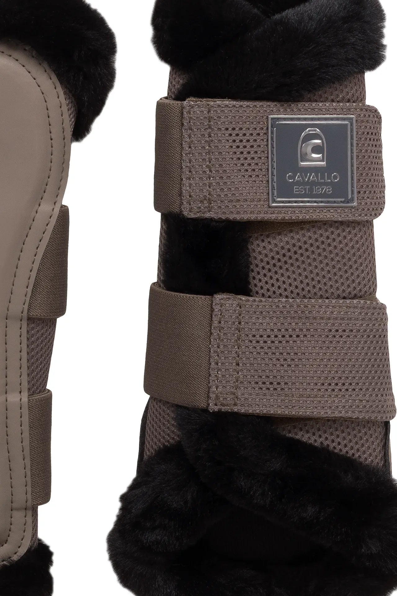 Cavallo Joca Benskydd