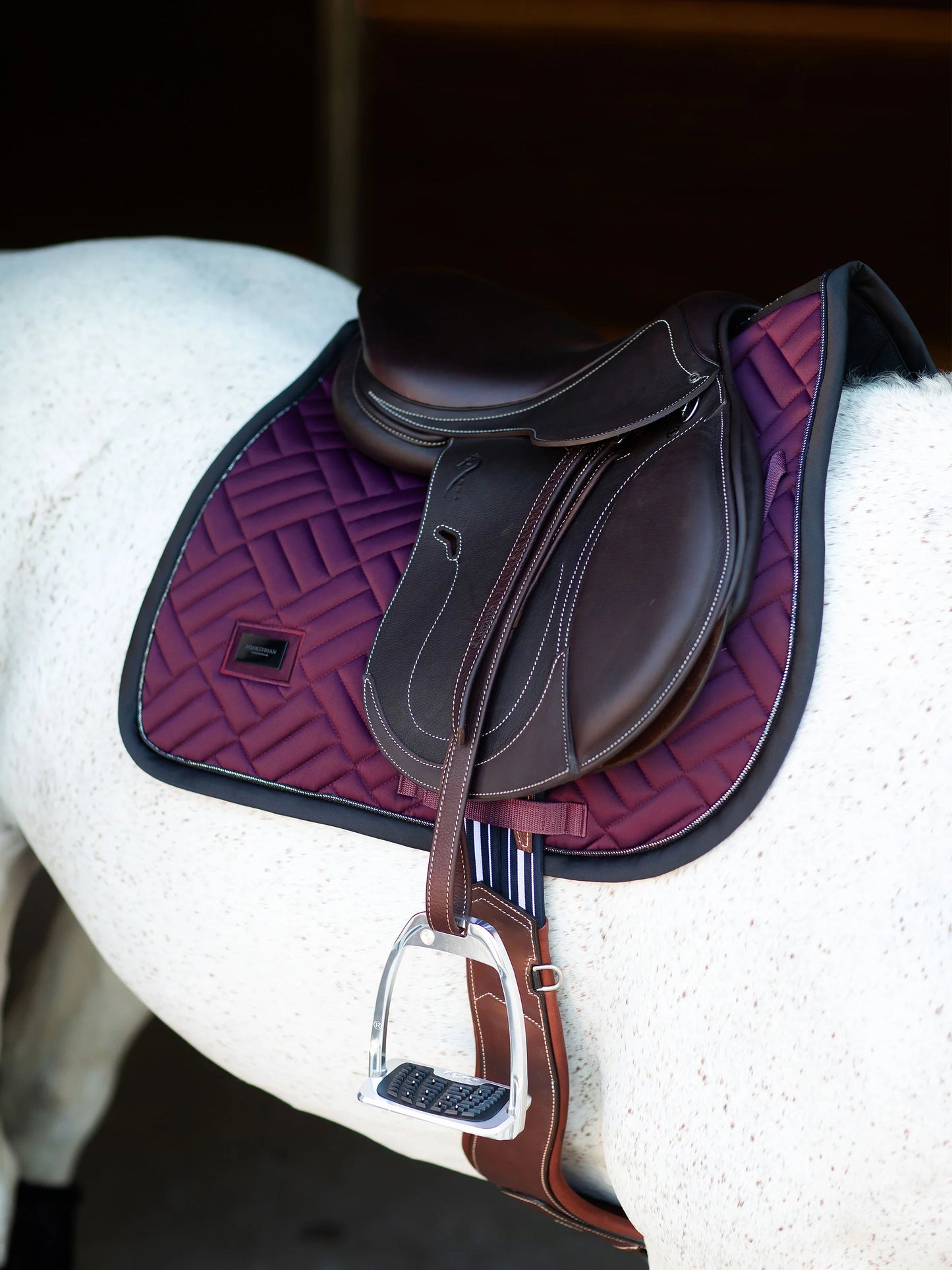 Equestrian Stockholm Hoppschabrak Modern