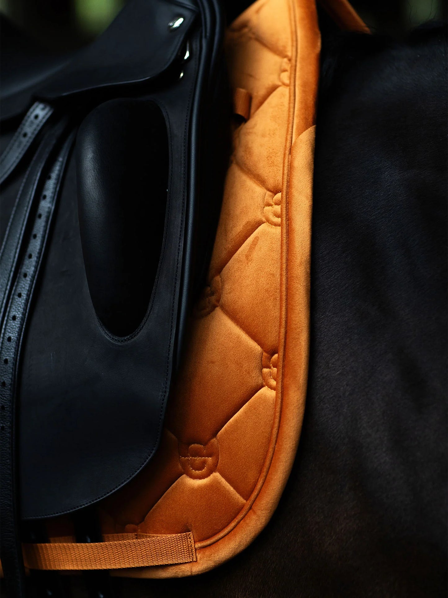 Equestrian Stockholm Dressyrschabrak Velvet