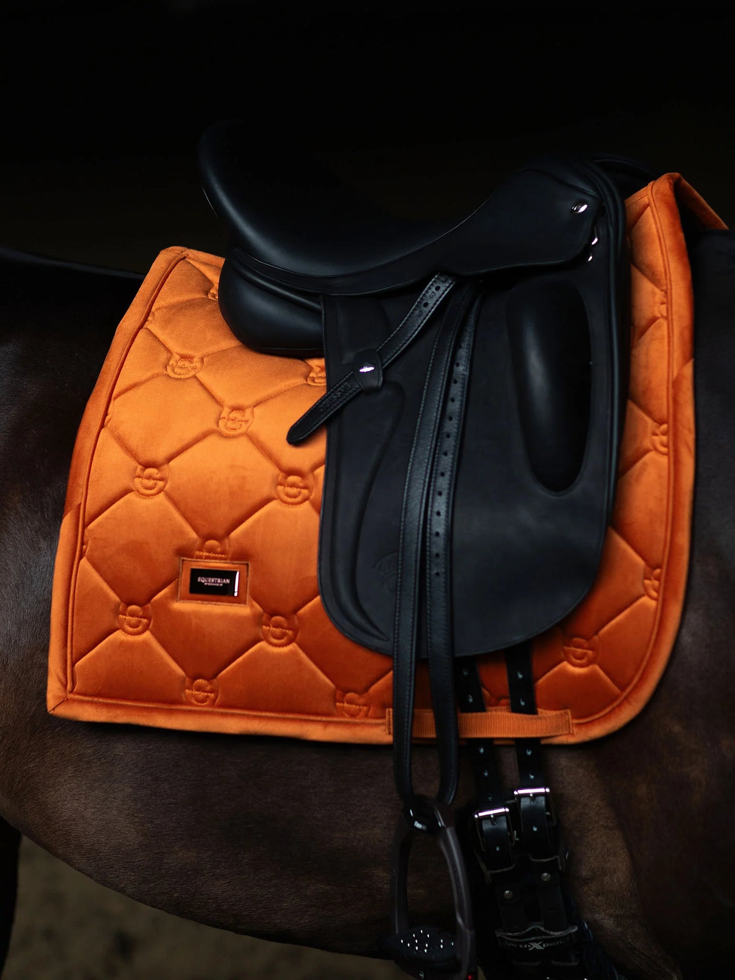 Equestrian Stockholm Dressyrschabrak Velvet