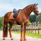Equestrian Stockholm Dressyrschabrak Velvet