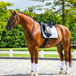 Equestrian Stockholm Dressyrschabrak Modern
