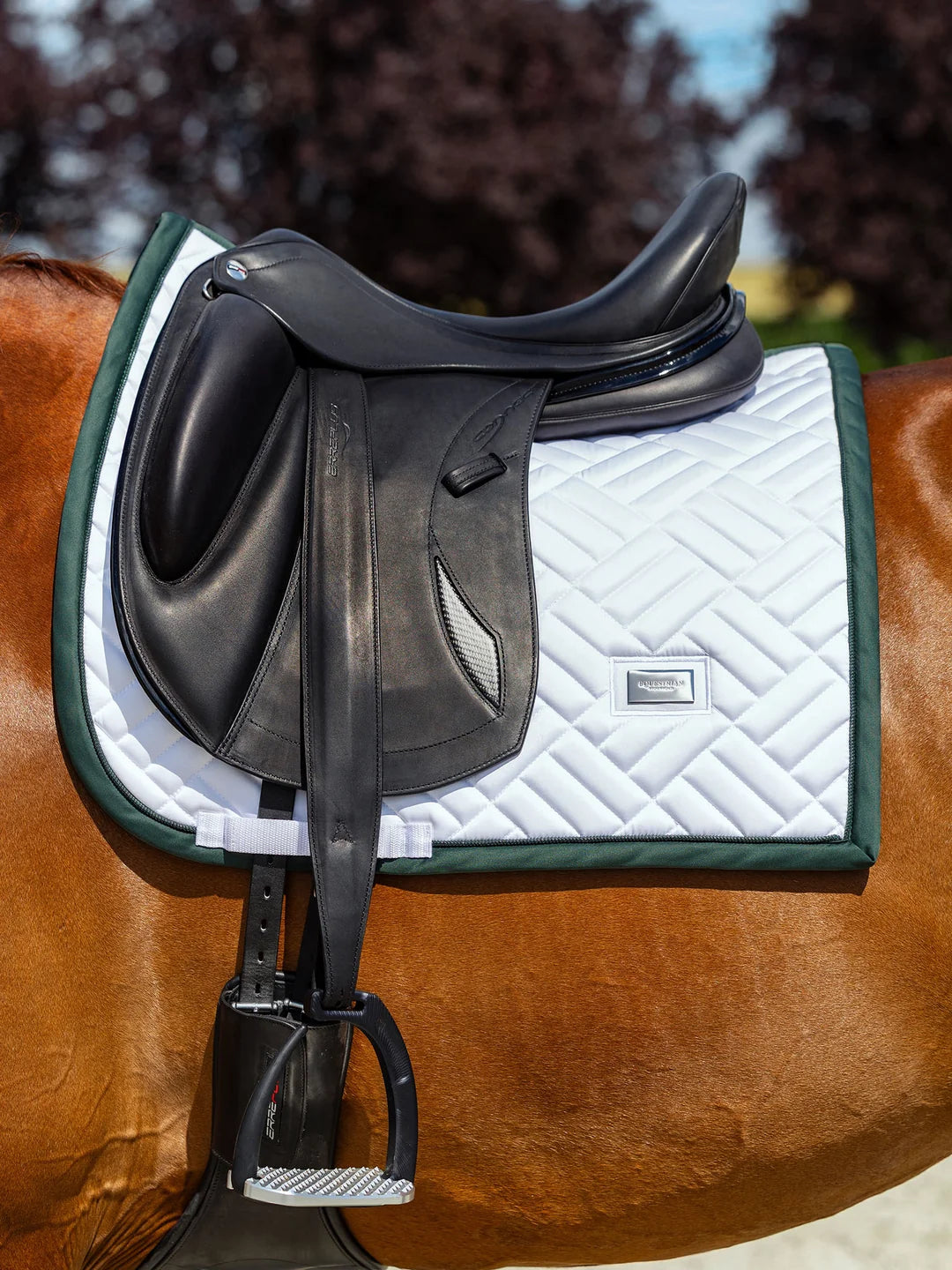 Equestrian Stockholm Dressyrschabrak Modern