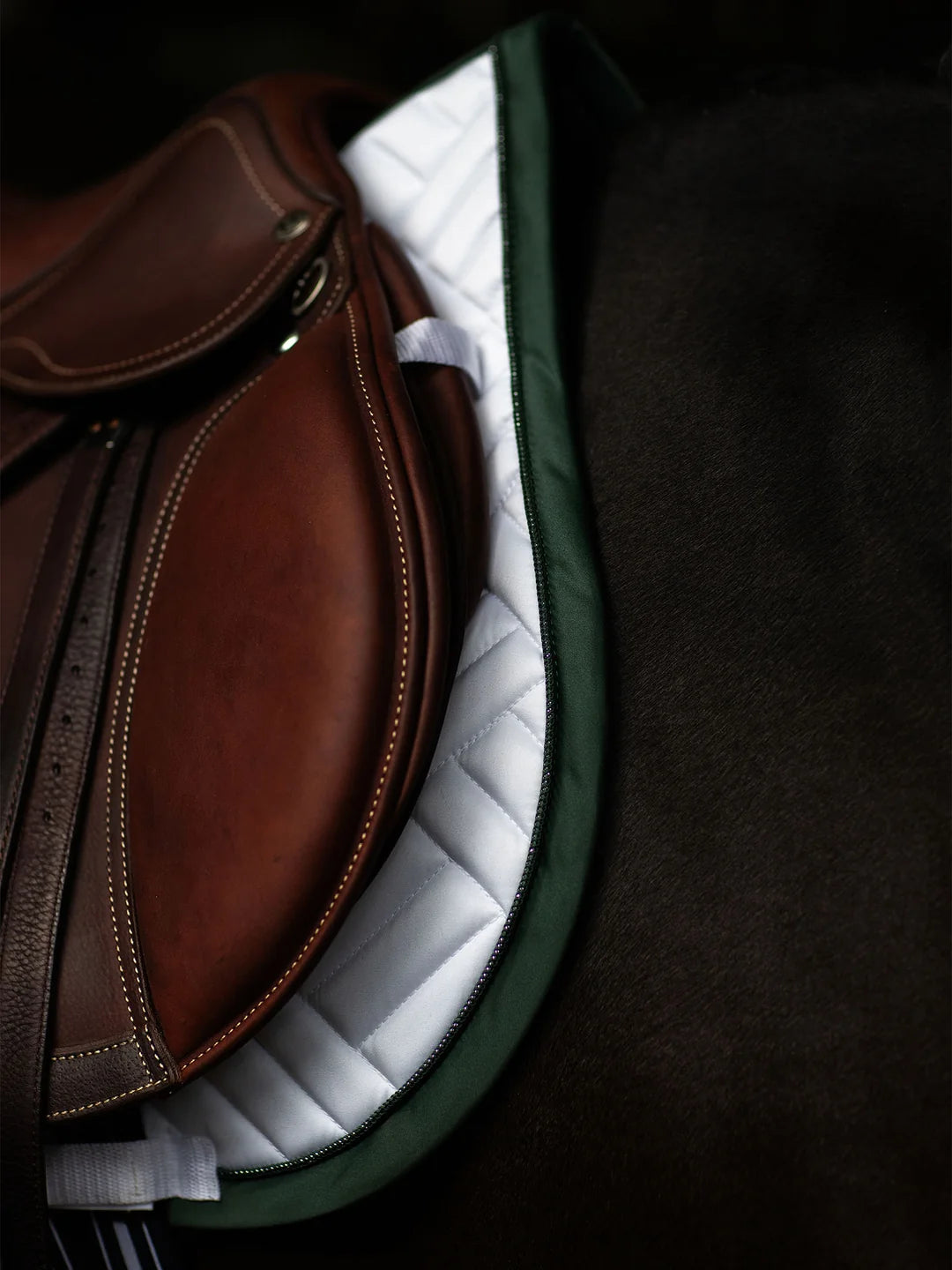 Equestrian Stockholm Hoppschabrak Modern