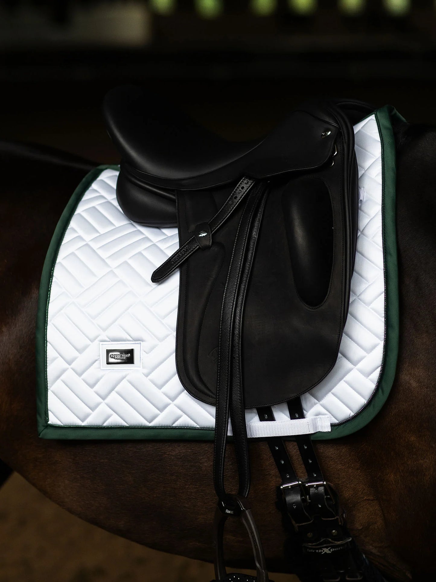 Equestrian Stockholm Dressyrschabrak Modern