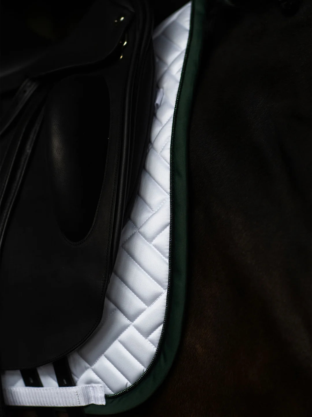 Equestrian Stockholm Dressyrschabrak Modern