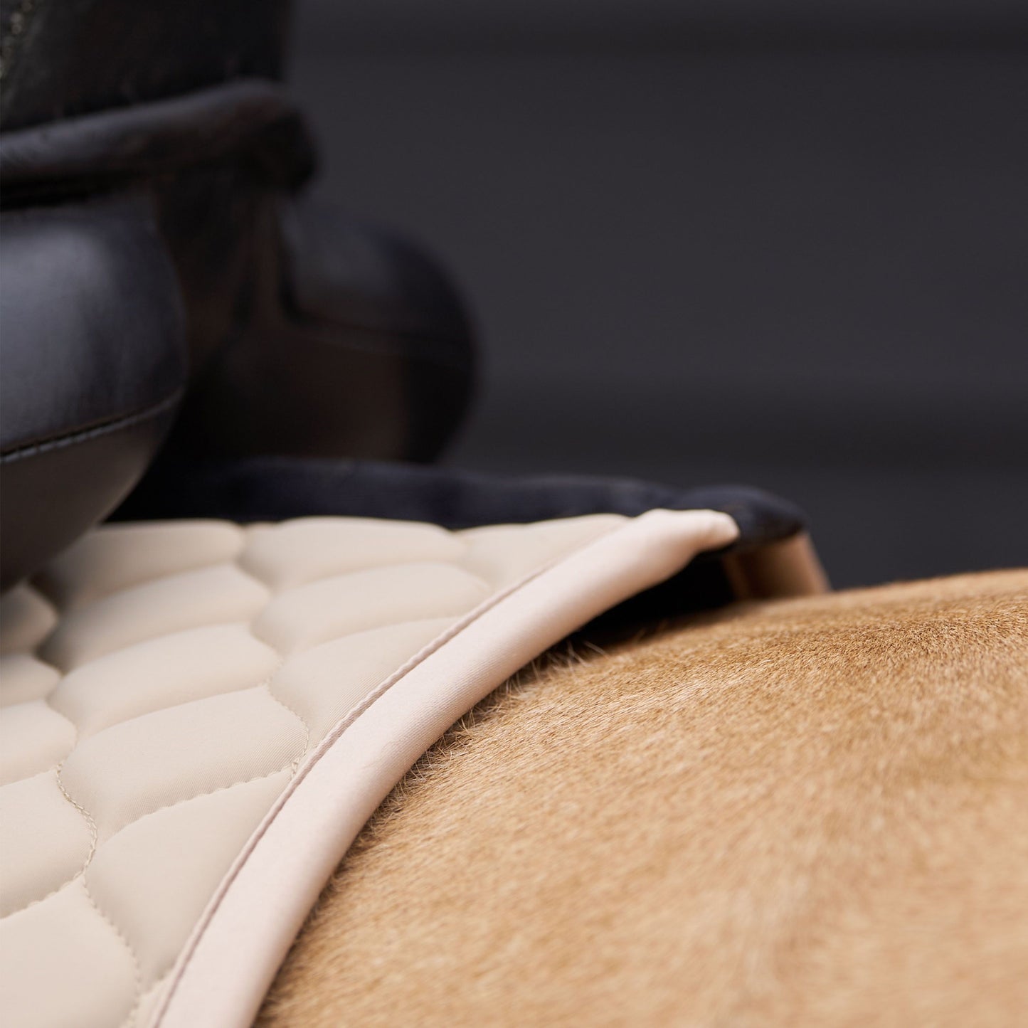 Eurostar Coco Hoppschabrak