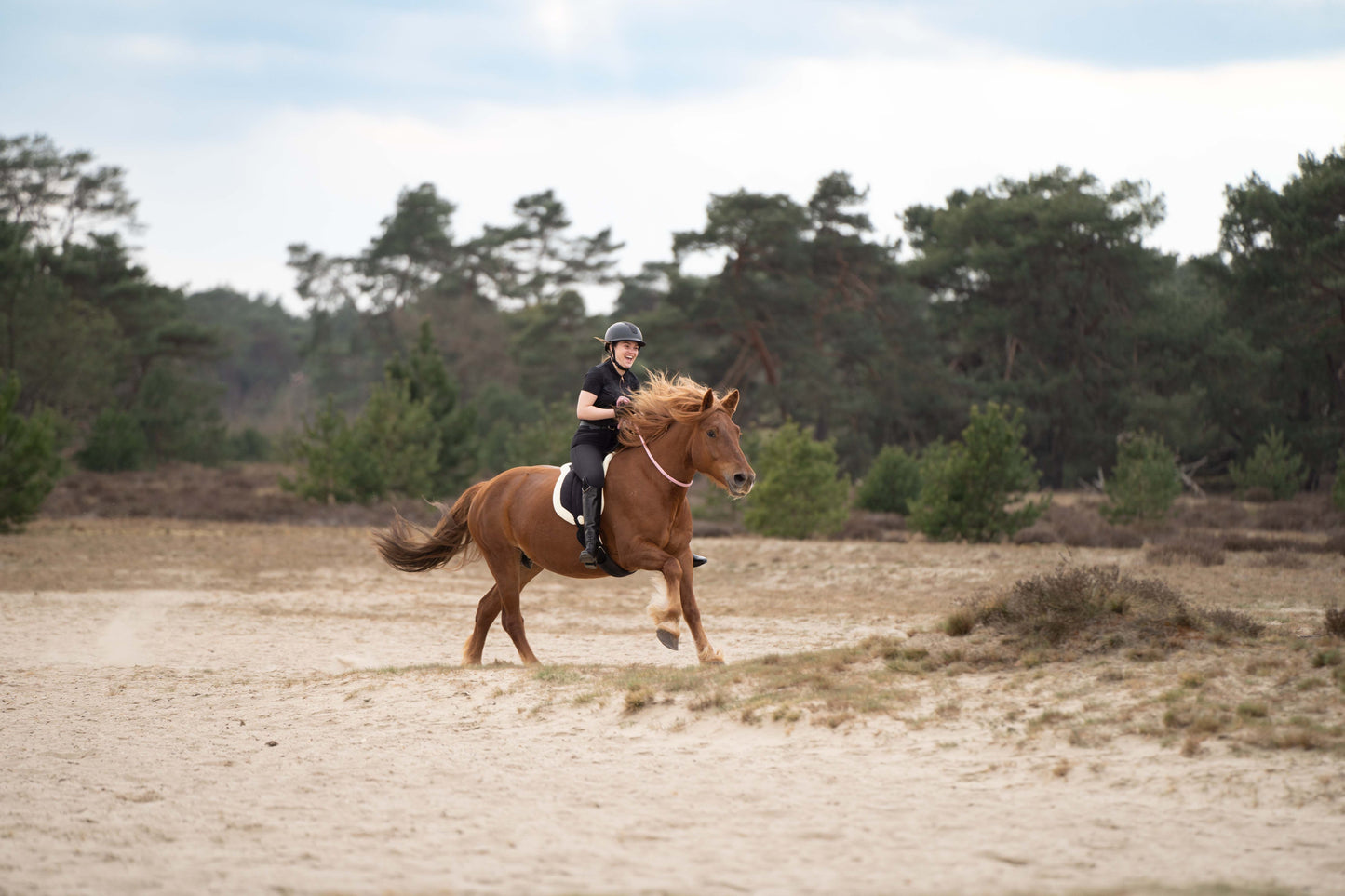 Imperial Riding Barbacka Padd