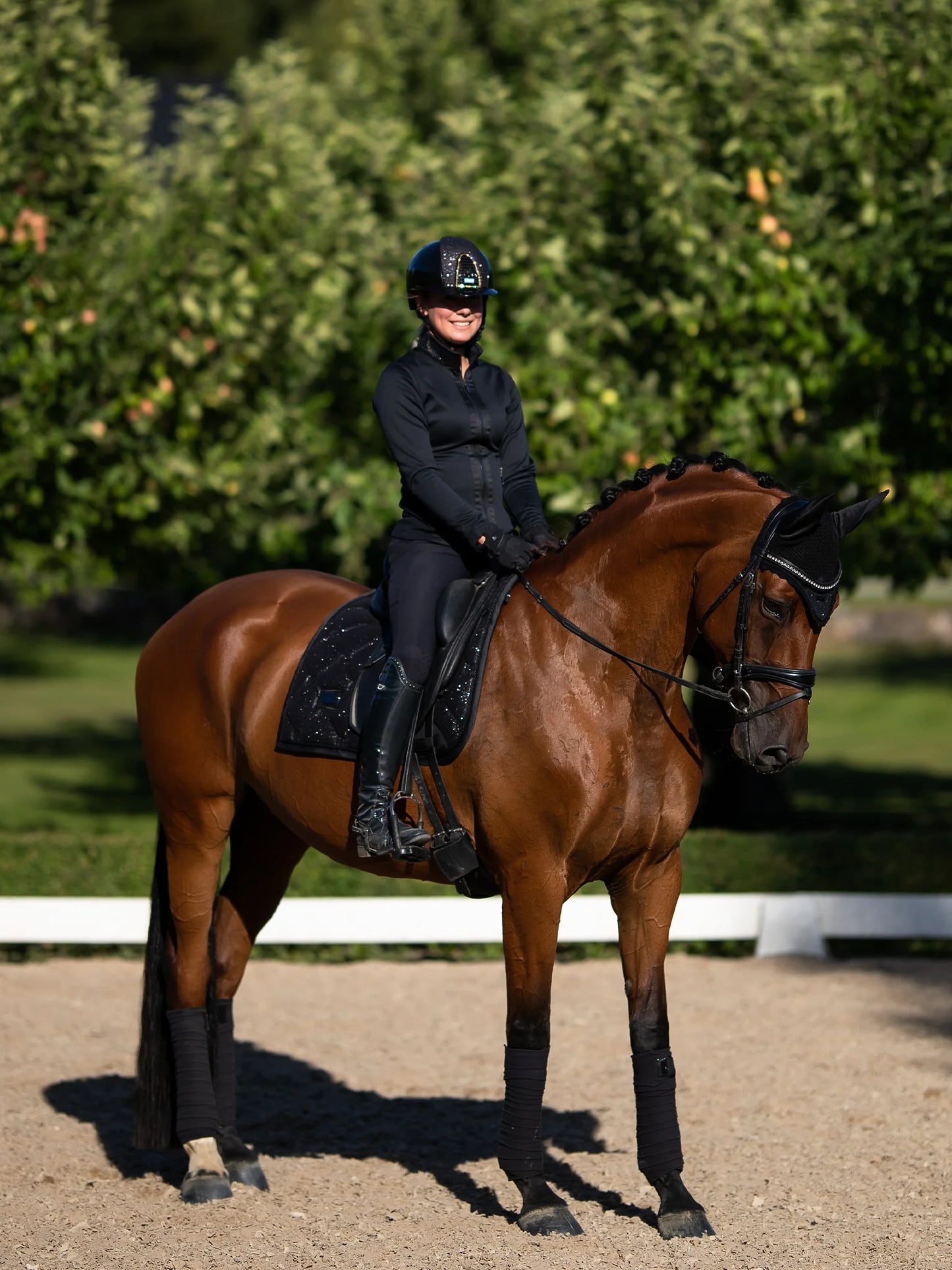 Equestrian Stockholm Dressyrschabrak Glimmer