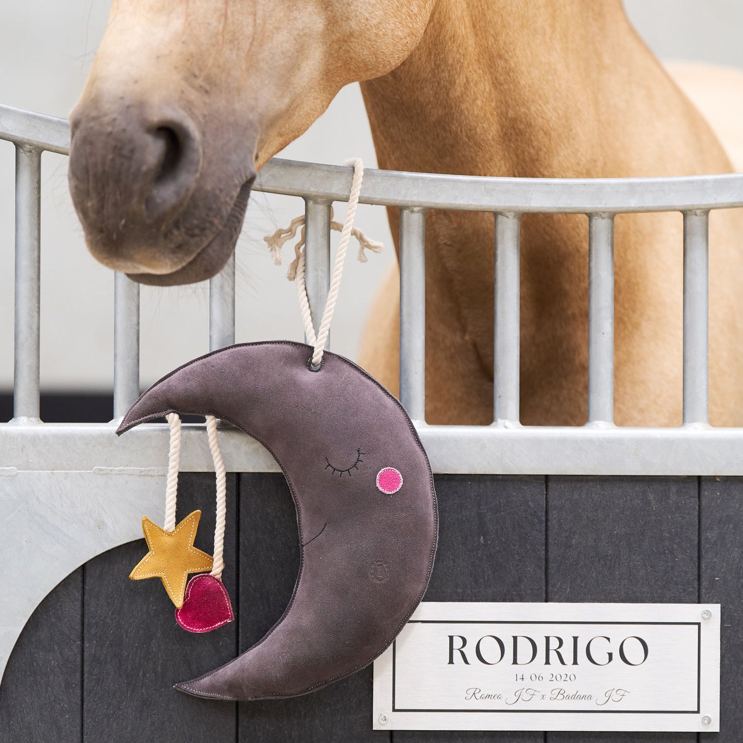 Imperial Riding Stable Buddy