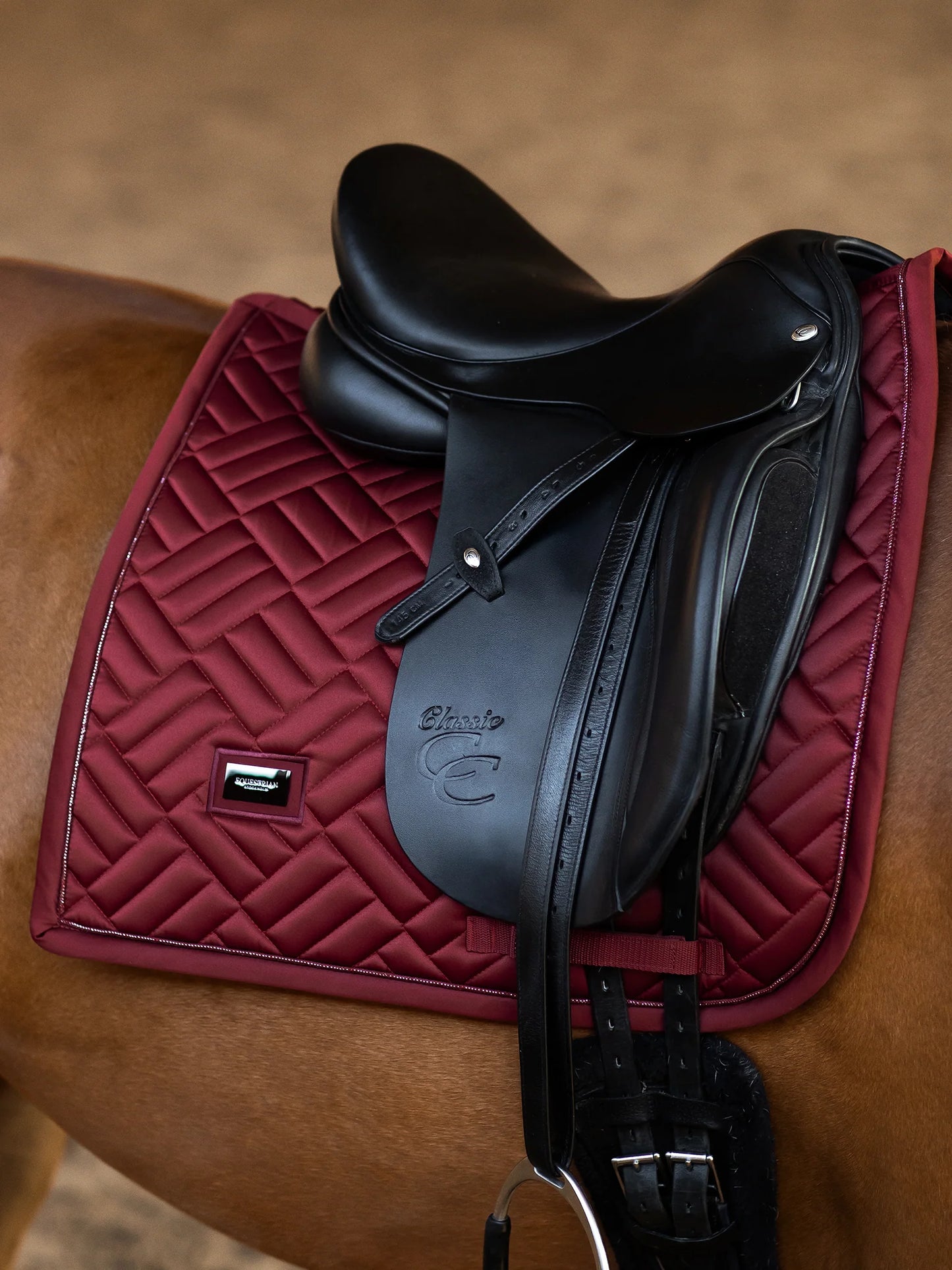 Equestrian Stockholm Dressyrschabrak Modern