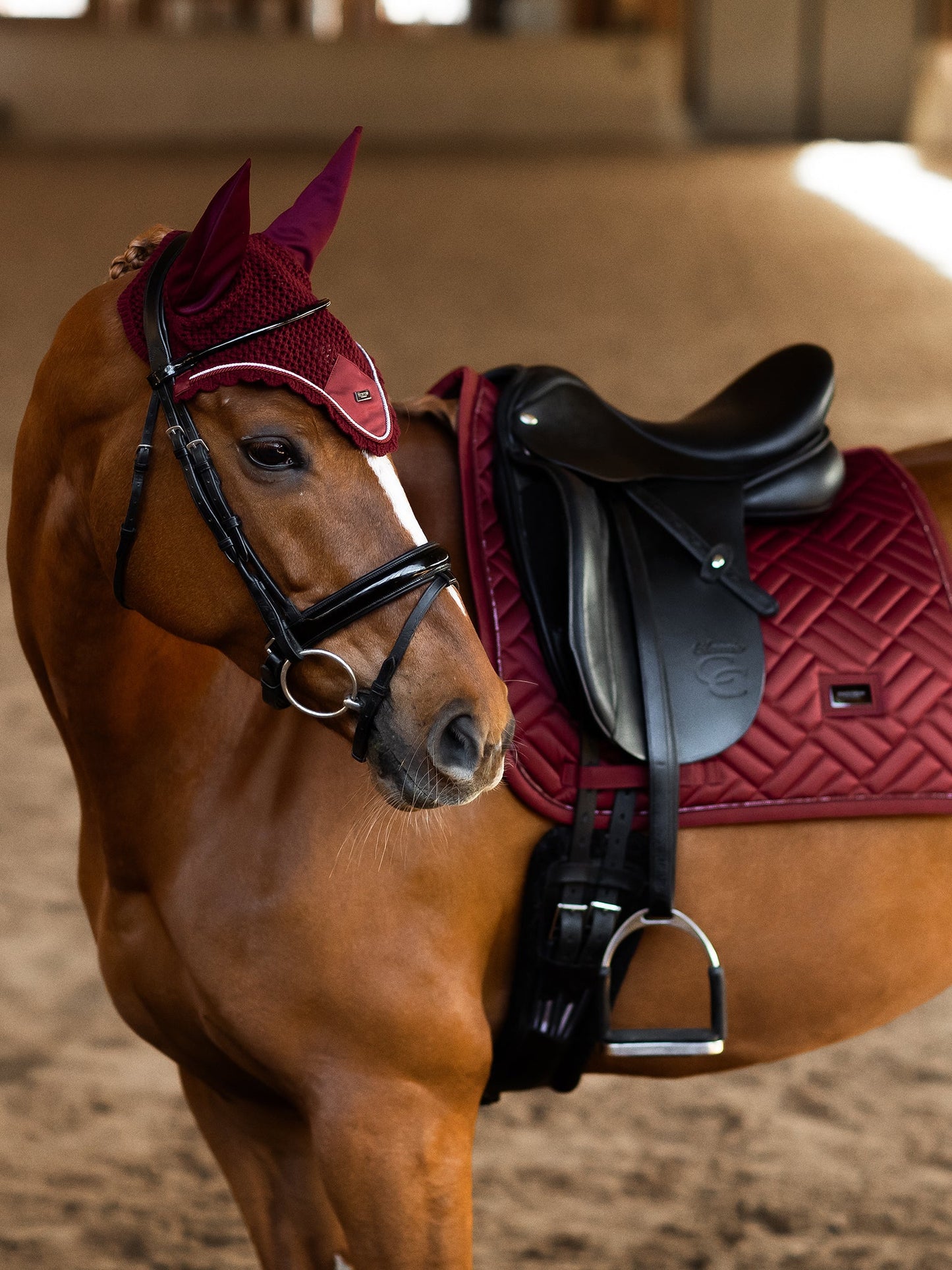 Equestrian Stockholm Dressyrschabrak Modern