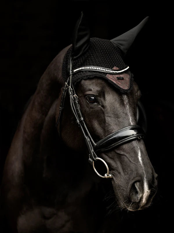 Equestrian Stockholm Hoppschabrak + Huva Glimmer