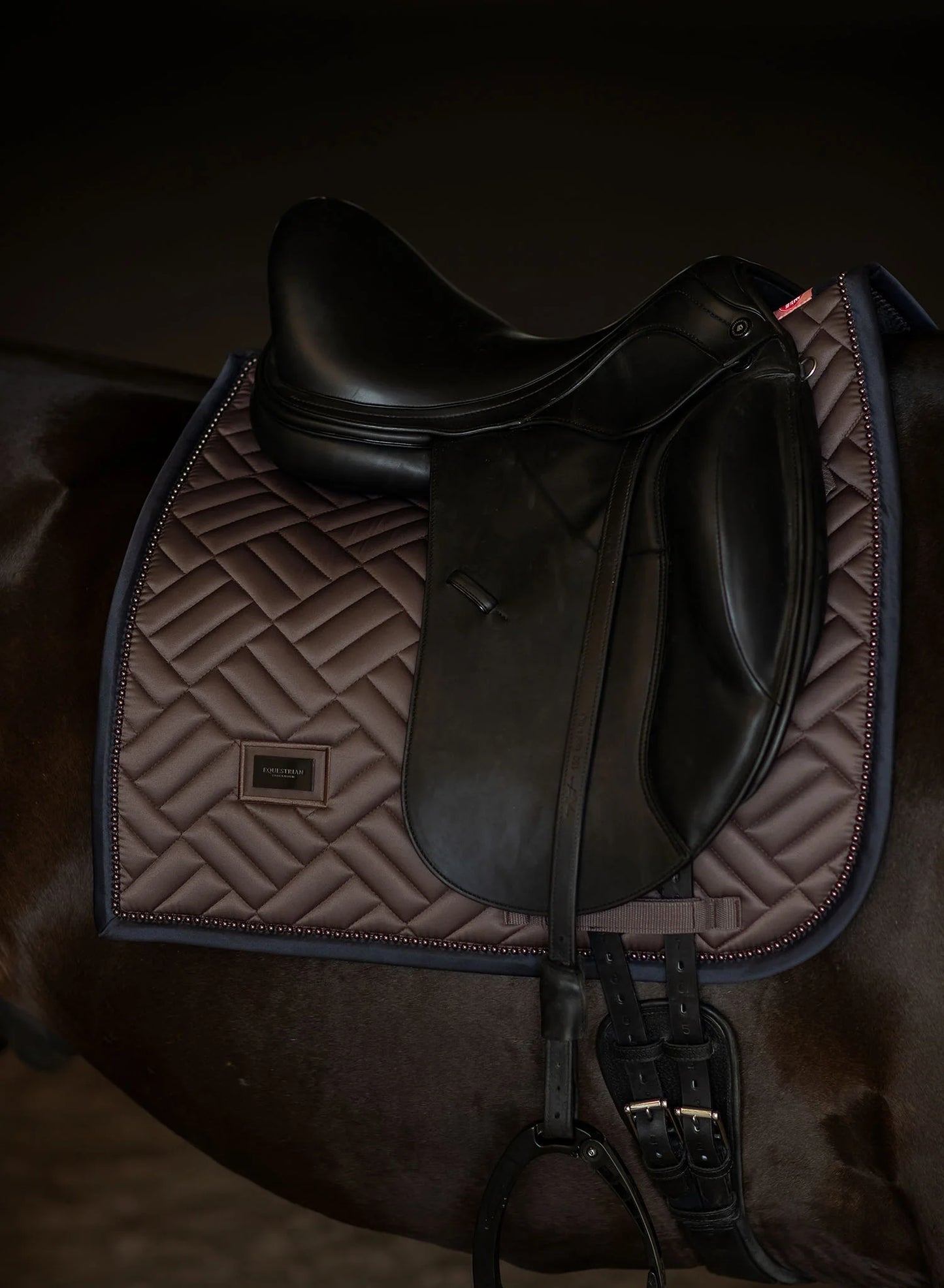 Equestrian Stockholm Dressyrschabrak Modern
