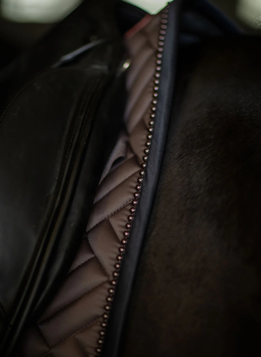Equestrian Stockholm Dressyrschabrak Modern