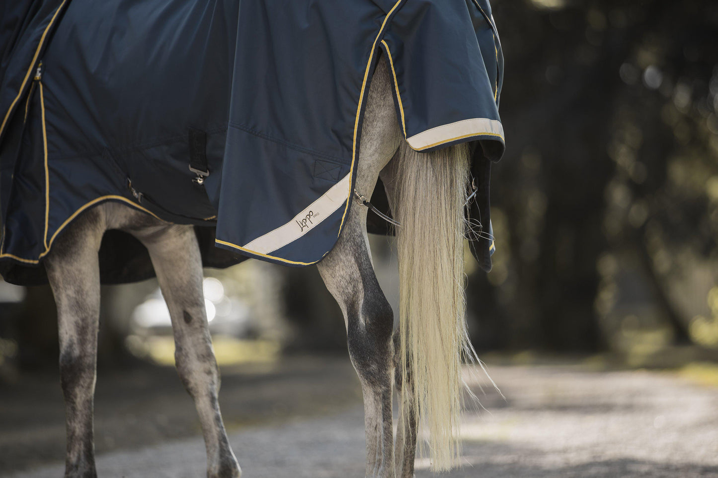 Lippo Outdoor Pro 900D Plus 50-400 gram