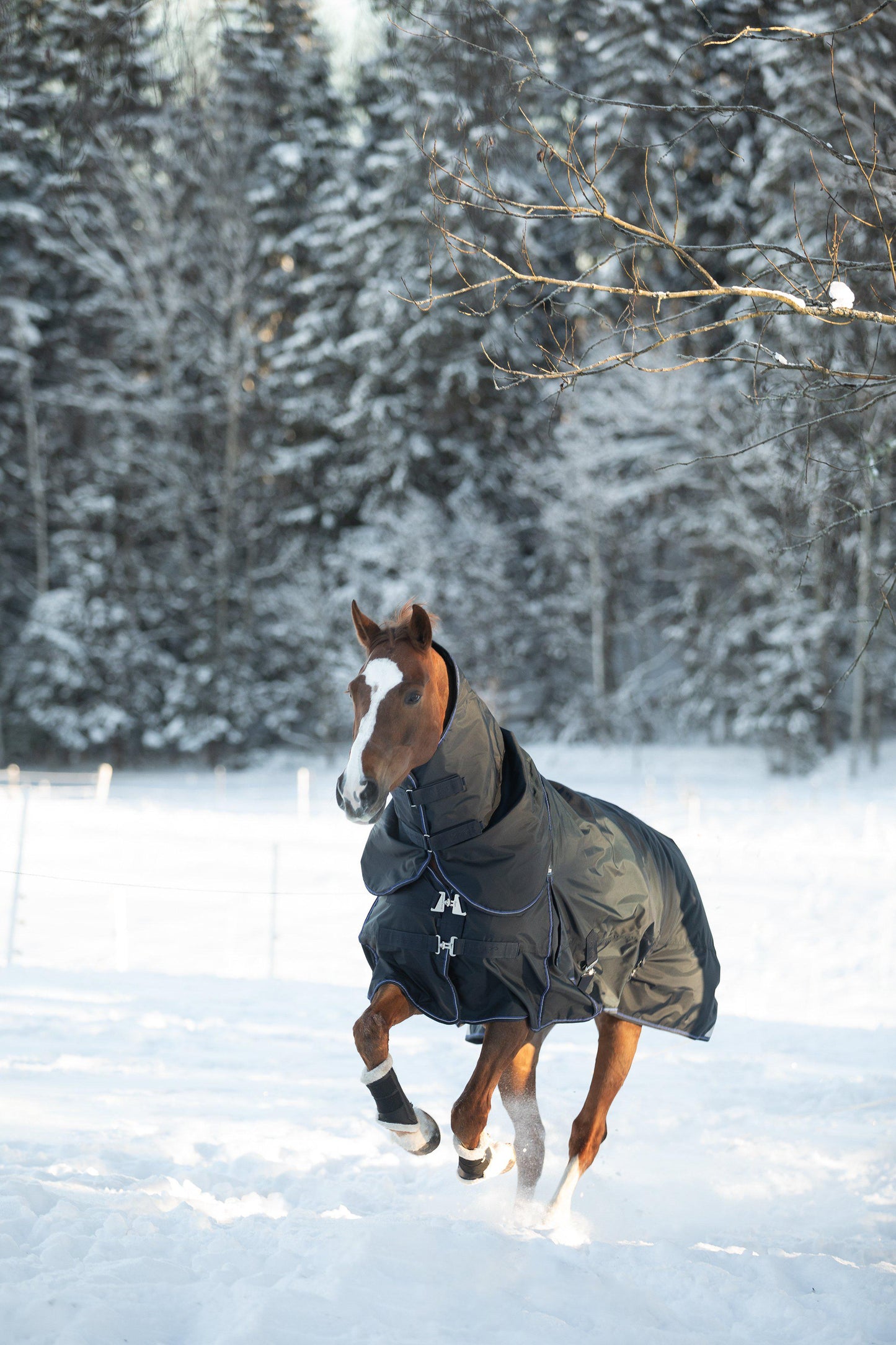 Lippo Outdoor Pro 900D Plus 50-400 gram