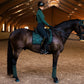 Equestrian Stockholm Dressyrschabrak